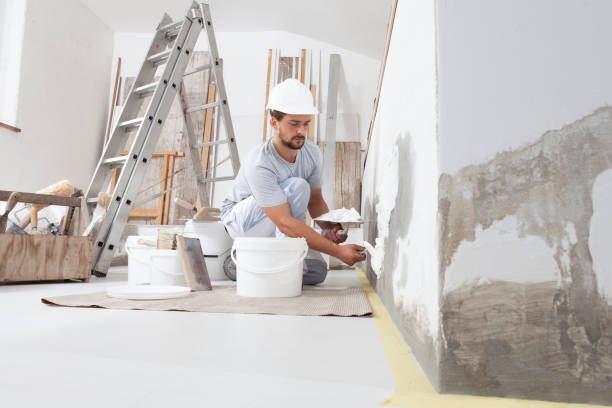 Professional Mold Removal in Battle Mountain, NV