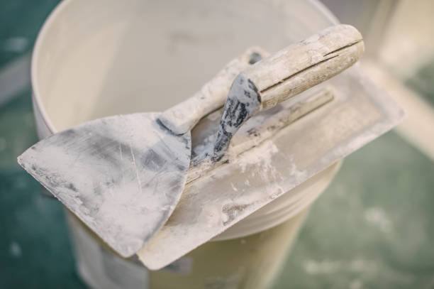 Best Emergency Mold Remediation  in Battle Mountain, NV