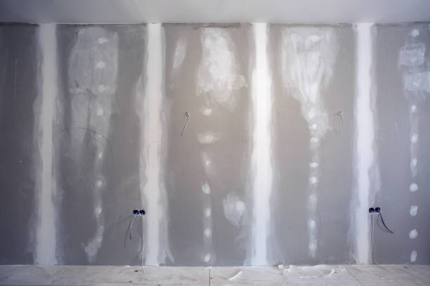 Best Comprehensive Air Testing for Mold Contaminants  in Battle Mountain, NV